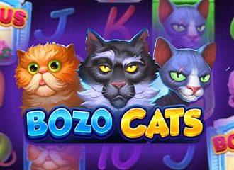 Bozo Cats